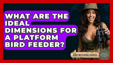What Are The Ideal Dimensions For A Platform Bird Feeder? - Bird Watching Diaries