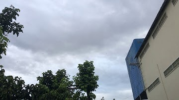 Swiftlet house while NO electricity and NO External sound the birds still Come 20190804