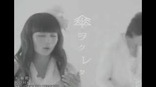 PV KOH    最愛 2008 10 01