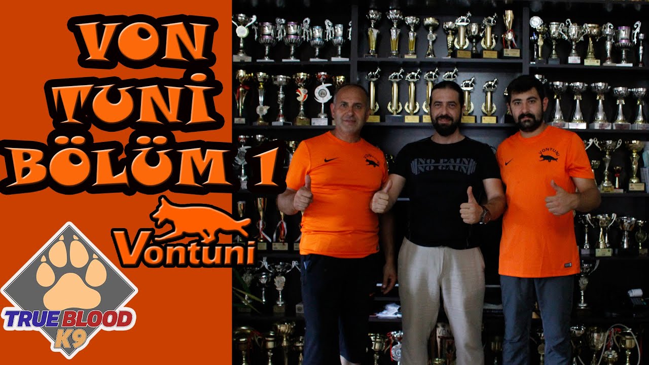 BU KÖPEKLER ÇOK FENA - EFSANE ALMAN KURTLARI - VON TUNİ 1.BÖLÜM
