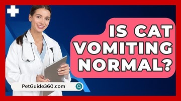 Is Cat Vomiting Normal? - PetGuide360.com