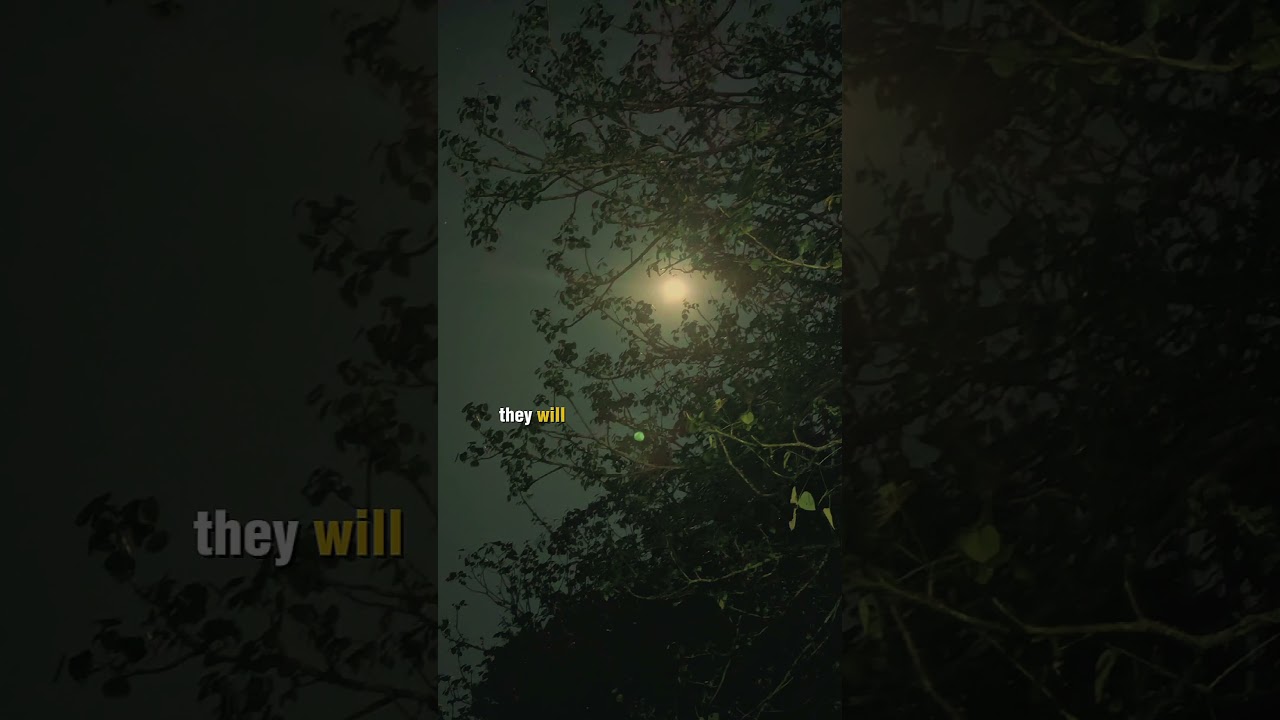 Day 22 #motivationalquotes #christianmotivation #inspirationalquotes #quotes