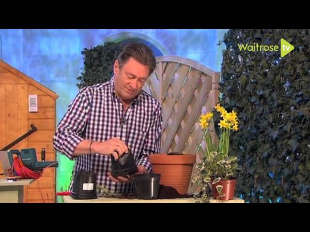 How to pot up mint for winter - Waitrose Garden class=
