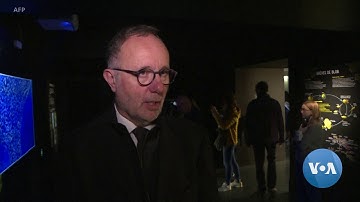 Paris Zoo Unveils Mysterious Bright Yellow 