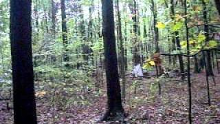 Fall Fling bonfire 1.AVI