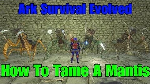 Ark Survival Evolved How To Tame A Mantis Beginner