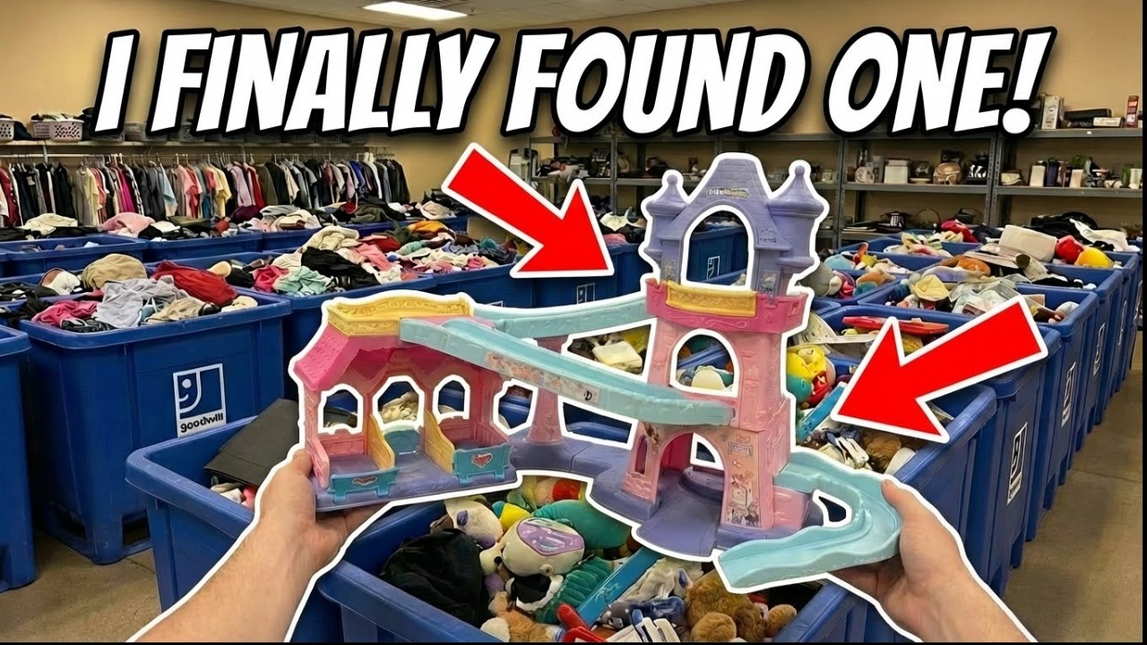 Goodwill Bins Jackpot! Rare Klip Klop Castle Stable Found