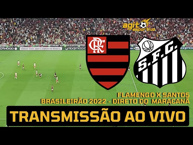 Como foi o jogo entre Flamengo e Santos pelo Brasileirão