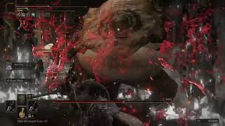 ELDEN RING - 2024- Godskin Duo - Less than 1 minute -
