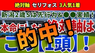 新潟2歳ステークス2021【絶対軸1頭】公開！近年変化が目立つ『コース特性』に注目！？血統面の追い風が魅力の絶対軸はアノ馬！