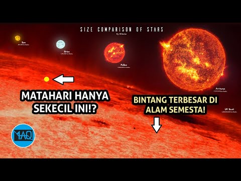 Video: Tahun berapakah matahari juga merupakan bintang berlaku?