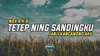 tetep ning sandingku ( janji kancanono aku ) NDX a.k.a - REMIX slow bass terbaru 2022