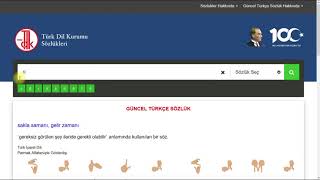 HOW TO USE ONLINE TURKISH DICTIONARIES EFFICIENTLY - TURKISH DICTIONARY TUTORIAL screenshot 1