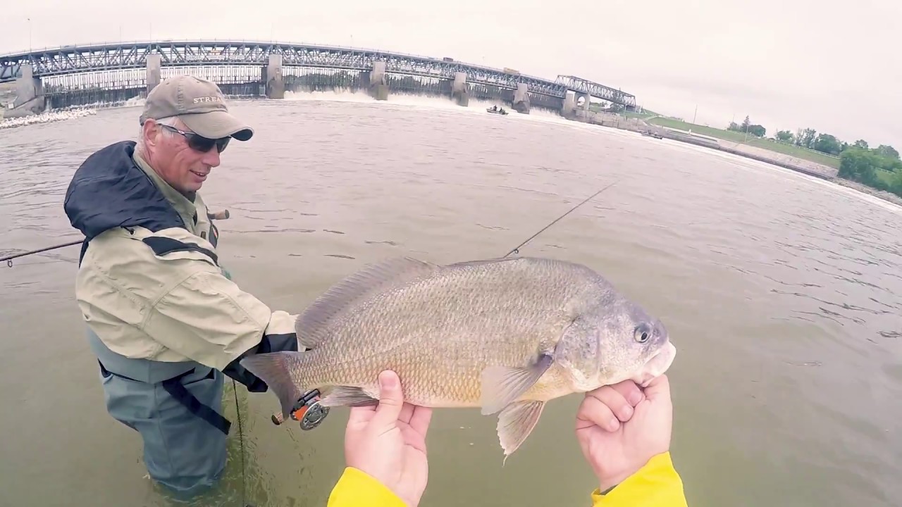 How to fly fish Rod Setup and Casting Tips on the Red River in