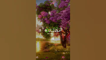 سورة الرحمن جابر القيطان 