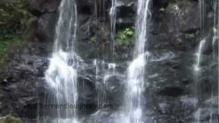 Sampler 5. As I Kneel Before You.  Gentle is My Love.  Peace Like A River