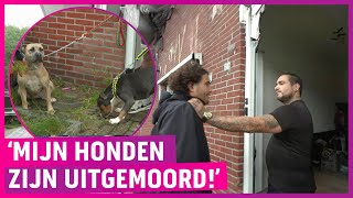 Download Lagu Gezinsdrama na slepende burenruzie: ‘Ziek van de stress!’ MP3 Download Lagu Gezinsdrama na slepende burenruzie: ‘Ziek van de stress!’ MP3