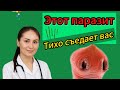 ПАРАЗИТ, СЪЕДАЮЩИЙ ВАС ИЗНУТРИ!