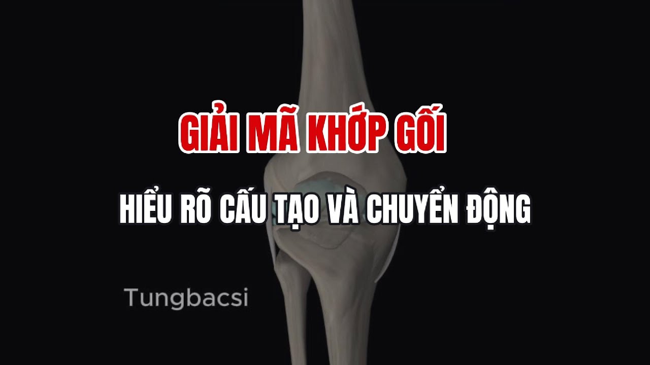 Giải Mã Khớp Gối: Hiểu Rõ Cấu Tạo & Chuyển Động