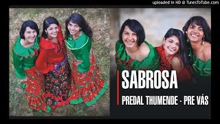 Video thumbnail of "Sabrosa - Metut uzarav (2011 Predal Thumende - Pre vás)"