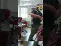 Student Brings Gun Into School