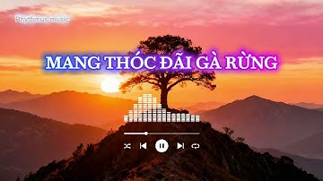 Mang thóc đãi gà rừng - meta rock