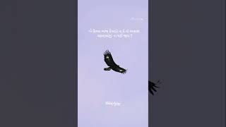 ###બે દિવસ બાજ દેખાડો #samudra.viral video