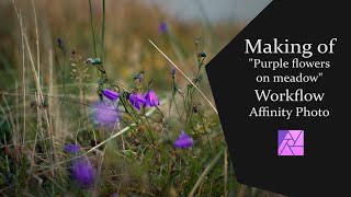 Workflow photo editing "Purple Flowers on Meadow" Affinity Photo [ timelapse ] screenshot 5