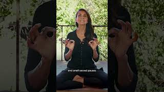Modern Life DISCONNECTS Us From Ourselves: How to Get Back 🌀 #health #healing #wellness