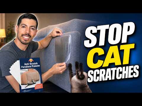 Video thumbnail: Stelucca Cat Scratch Furniture Protector Review: Do These Clear Shields Really Stop Cat Claws?