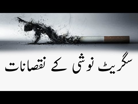 cigarette noshi essay