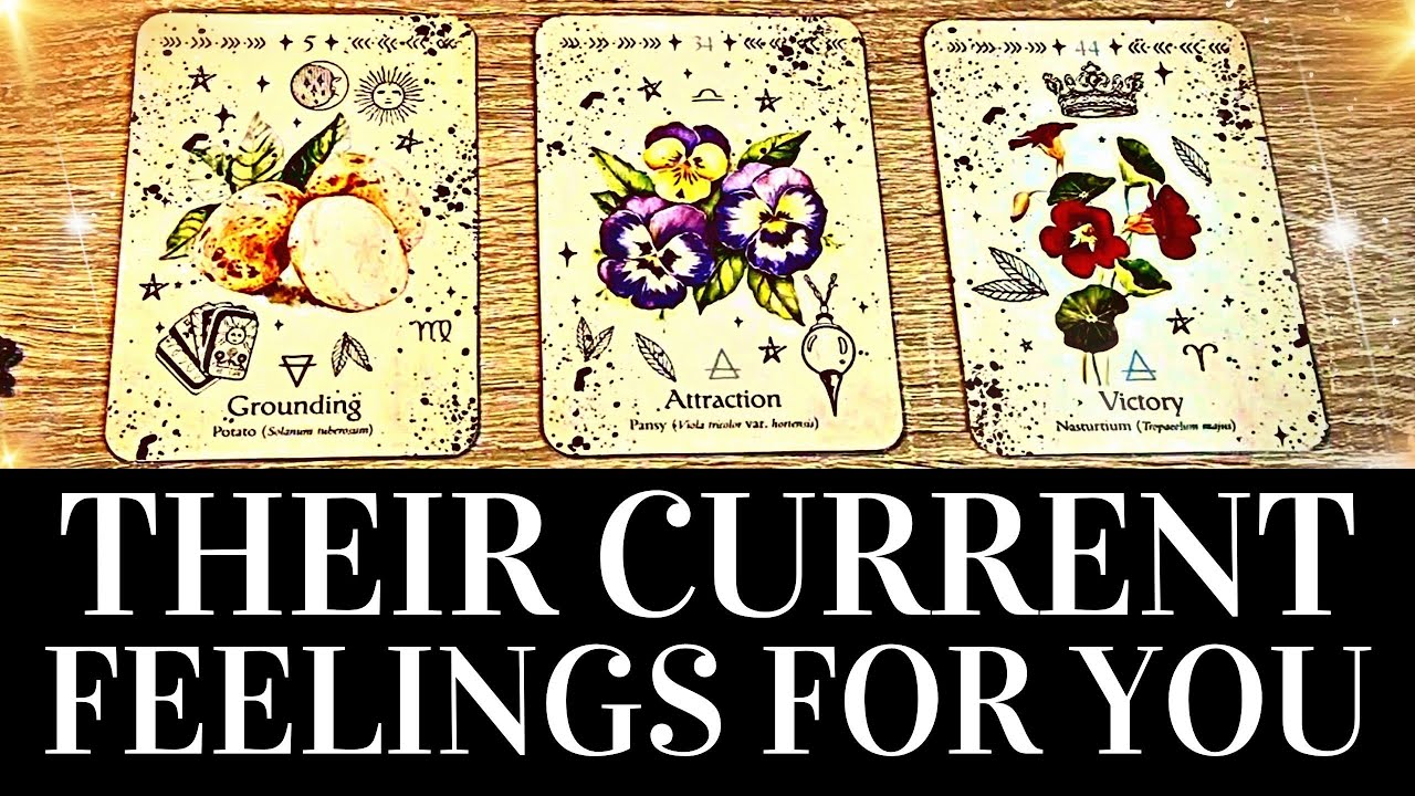 PICK A CARD💓😍 Their Current FEELINGS For You😍💓 They want you to know ...