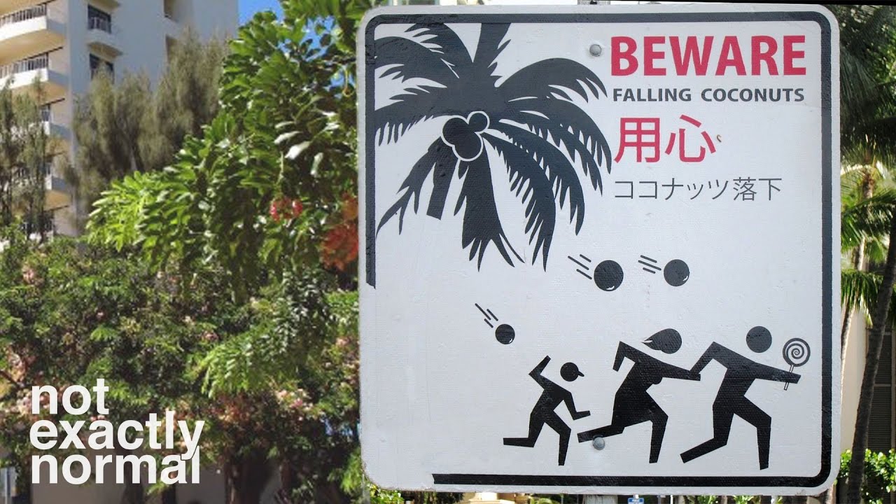 Has Anyone Been Killed By A Falling Coconut?