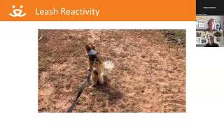 Canine Reactivity Webinar