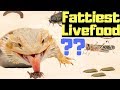 Are waxworms the fattiest livefood