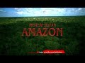 MISTERI HUTAN AMAZON YANG BELUM TERPECAHKAN