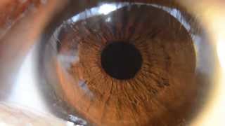 Detailed Brown Iris HD Macro Nikon D5100 (Music by Dax Johnson- Childs Garden)