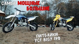 Самые МОЩНЫЕ и БОЛЬШИЕ питбайки YCF BIGY 190 Daytona vs 190 Zongshen