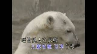 捱係客家人-KTV0218
