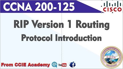 Routing Information Protocol (RIP Version 1) Introduction in Urdu and Hindi