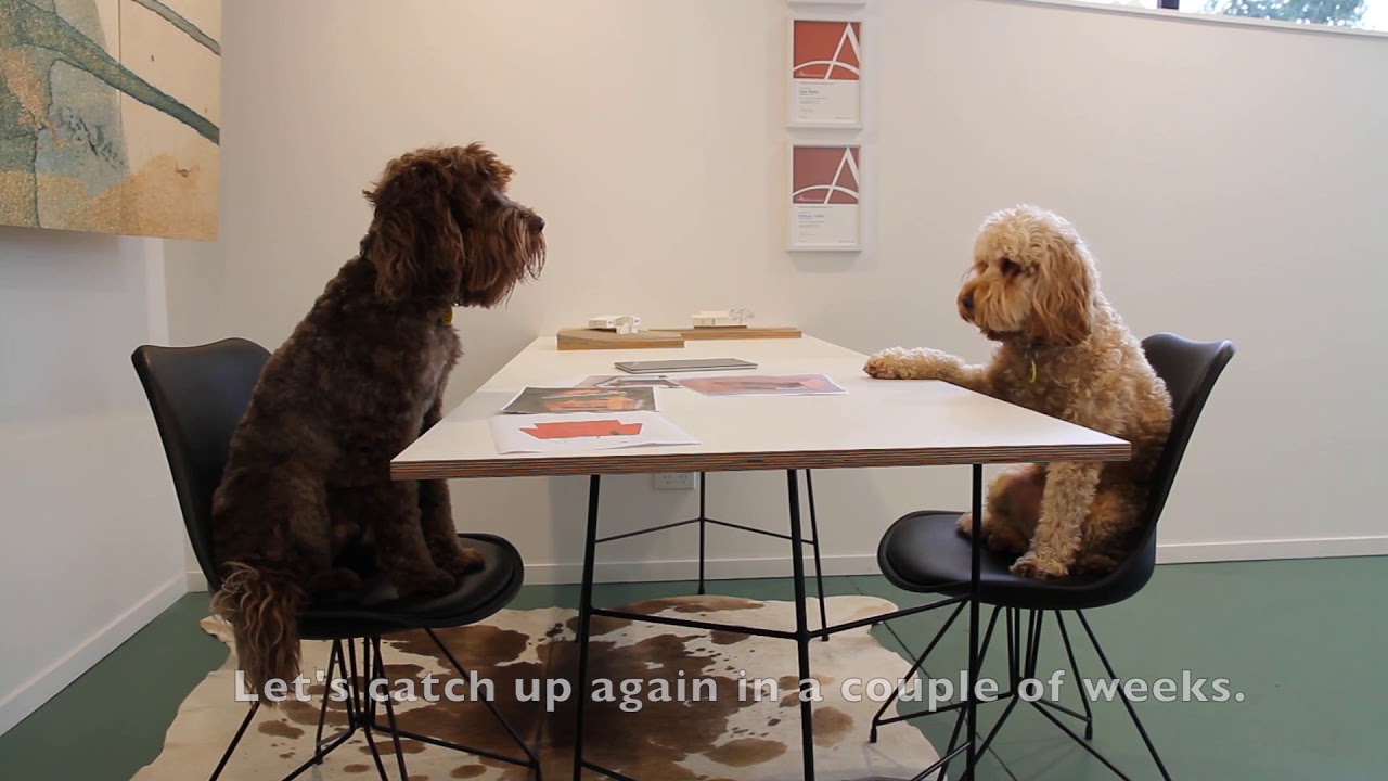 Introducing BarkHaus - a Pet Refuge fundraiser!