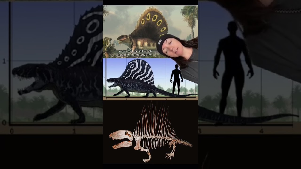 Guarda SYNAPSIDS su YouTube Guarda SYNAPSIDS su YouTube