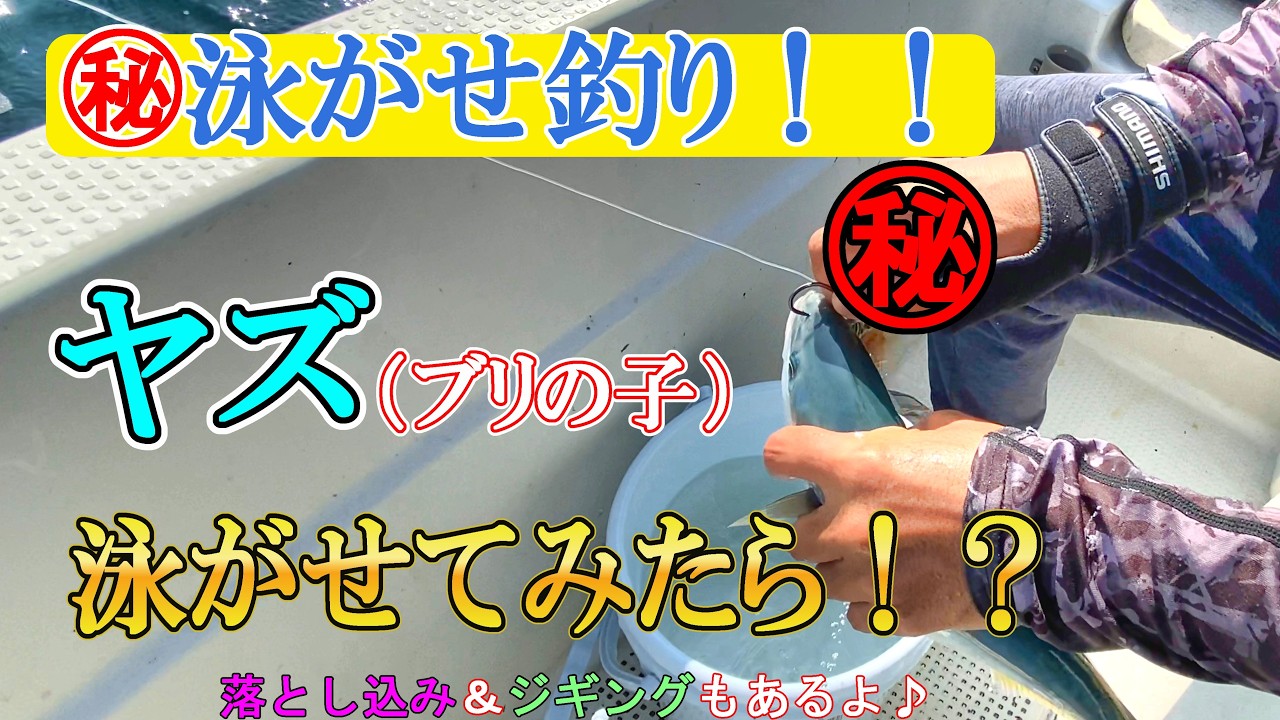 【㊙】泳がせ釣りでブリの子（ヤズ）を泳がせてみたら！？落とし込み＆泳がせ釣り時々ジギングDAY♪　釣りバトVol.12【魚ＶＳ出費！釣り1年間ガチ収支バトル！】