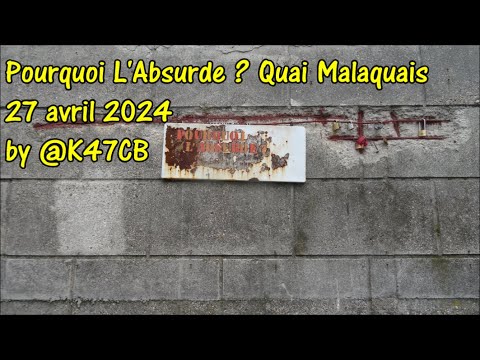 Pourquoi LAbsurde  Quai Malaquais 2 setters retour du bain 27 avril 2024 by K47CB