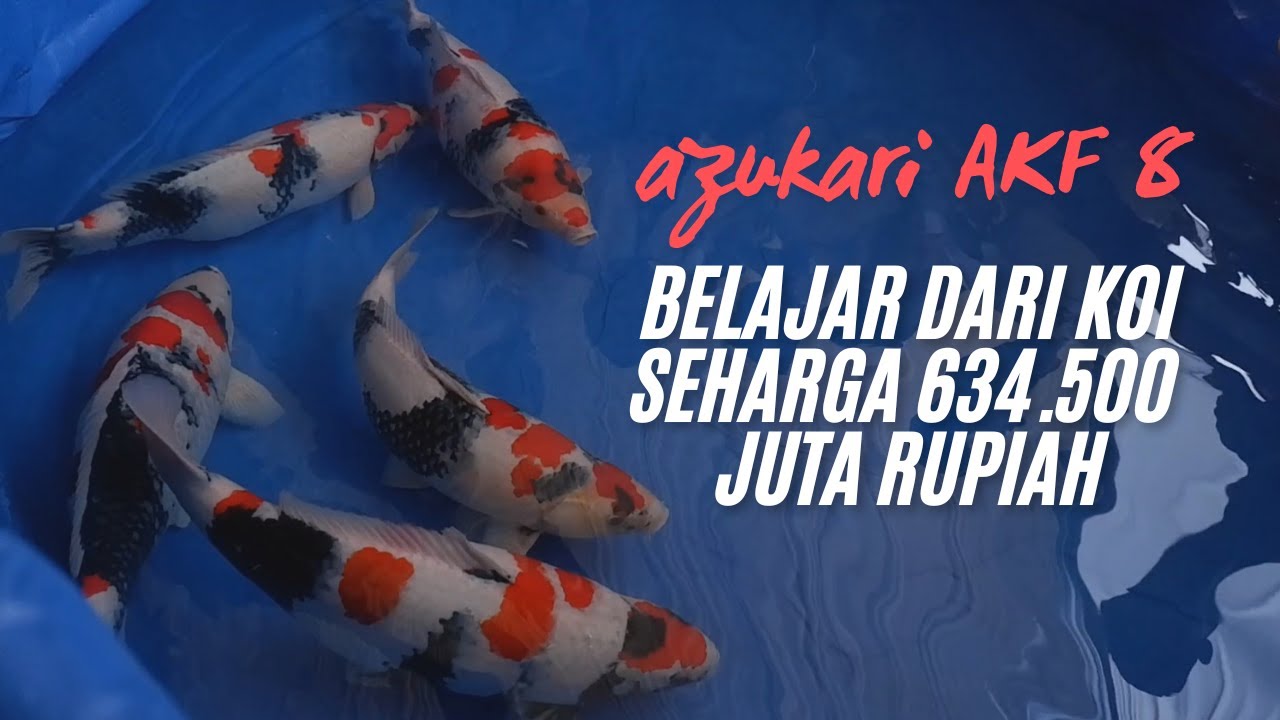 6 634 00 Berapa Rupiah 6 634 00 Berapa Rupiah