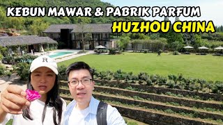 ROSE FLOWER AGRIBUSINESS AND COSMETIC INDUSTRY IN ZHEJIANG CHINA | DAIXI BEAUTY TOWN HUZHOU