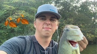 Beech Fork Fishing (September 29th)
