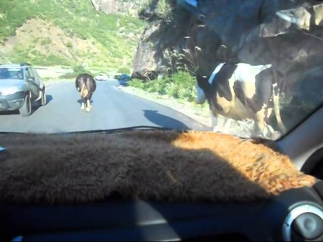 Humour Algerie Le Code De La Route Youtube