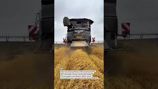 Fendt IDEAL Wheat Harvest Beast 🌾🚜 #FendtIDEAL #HarvestKing #AgriTech