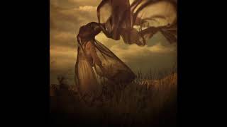 Max Richter - Andras